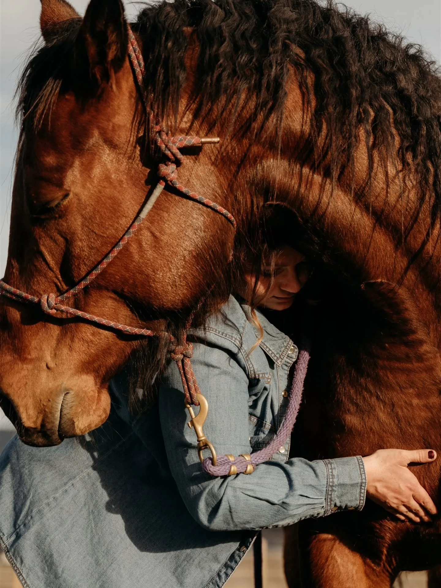 Kalispell Equine Performance Therapy with @jess_wilcox 😍  Keep sliding to see a curious and adorable shot that I'm obessed with 🥲

I will shout out all the small businesses I know and love until it's my last breath because small business is the rea