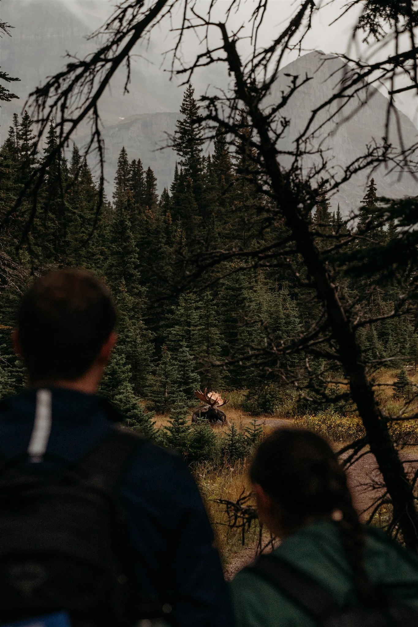Glacier National Park, Montana surprise proposal photographer Alex Gale Photography