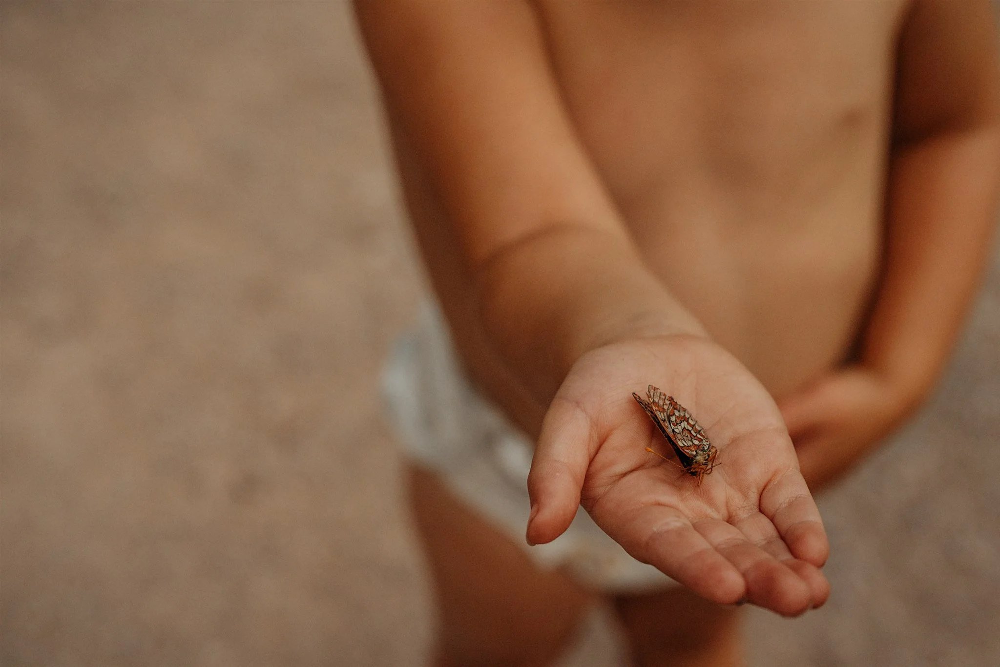 Glacier-national-park-Montana-Kalispell-Whitefish-Bigfork-Polson-Couples-family-elopement-photographer-Alex-Gale-Photography-13_websize (2).jpg
