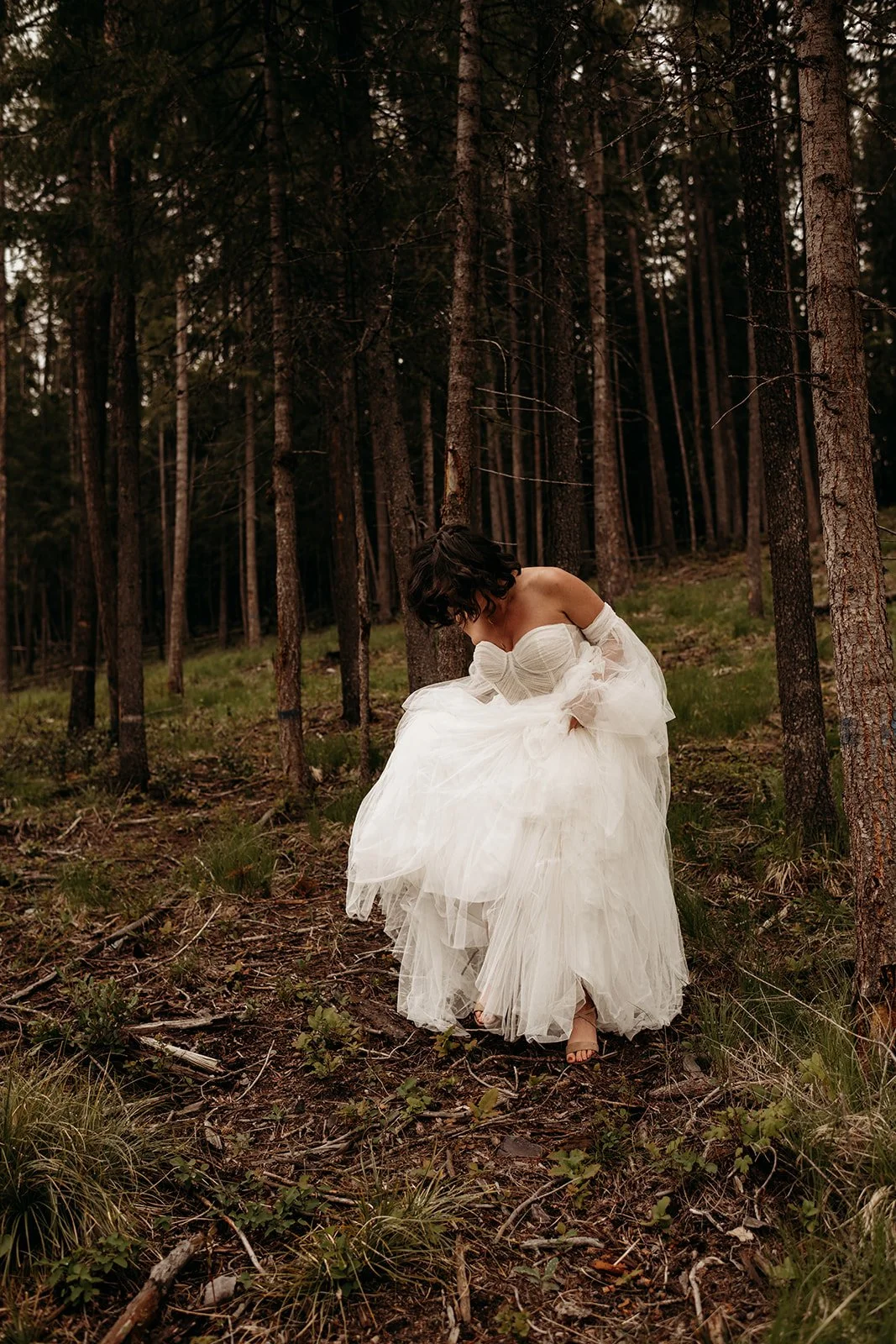 Montana and Wyoming Wedding and Elopement Photography by Alex Gale Photography