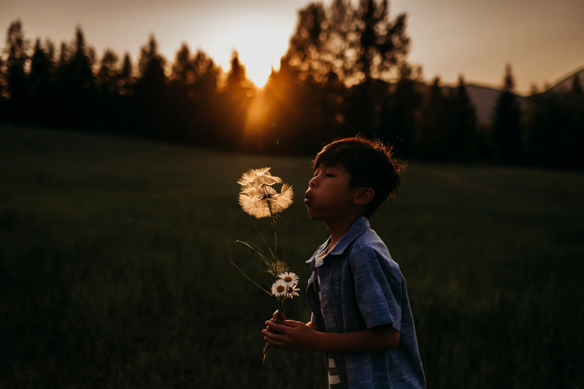 Glacier National Park, Montana family, couples, and senior photographer Alex Gale Photography