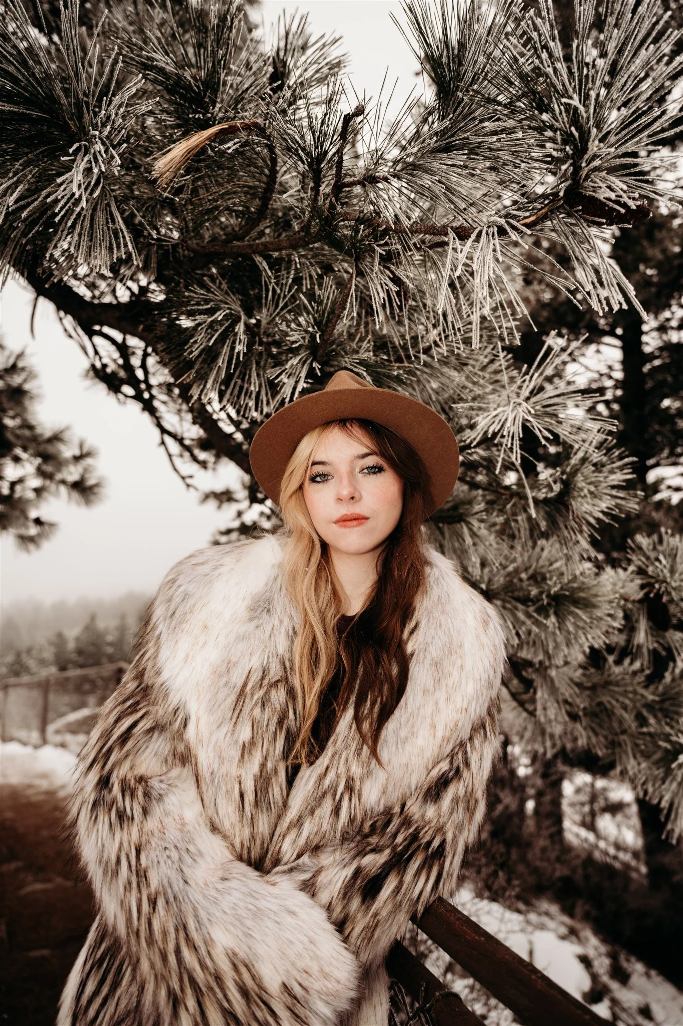 Glacier National Park, Montana family, couples, and senior photographer Alex Gale Photography