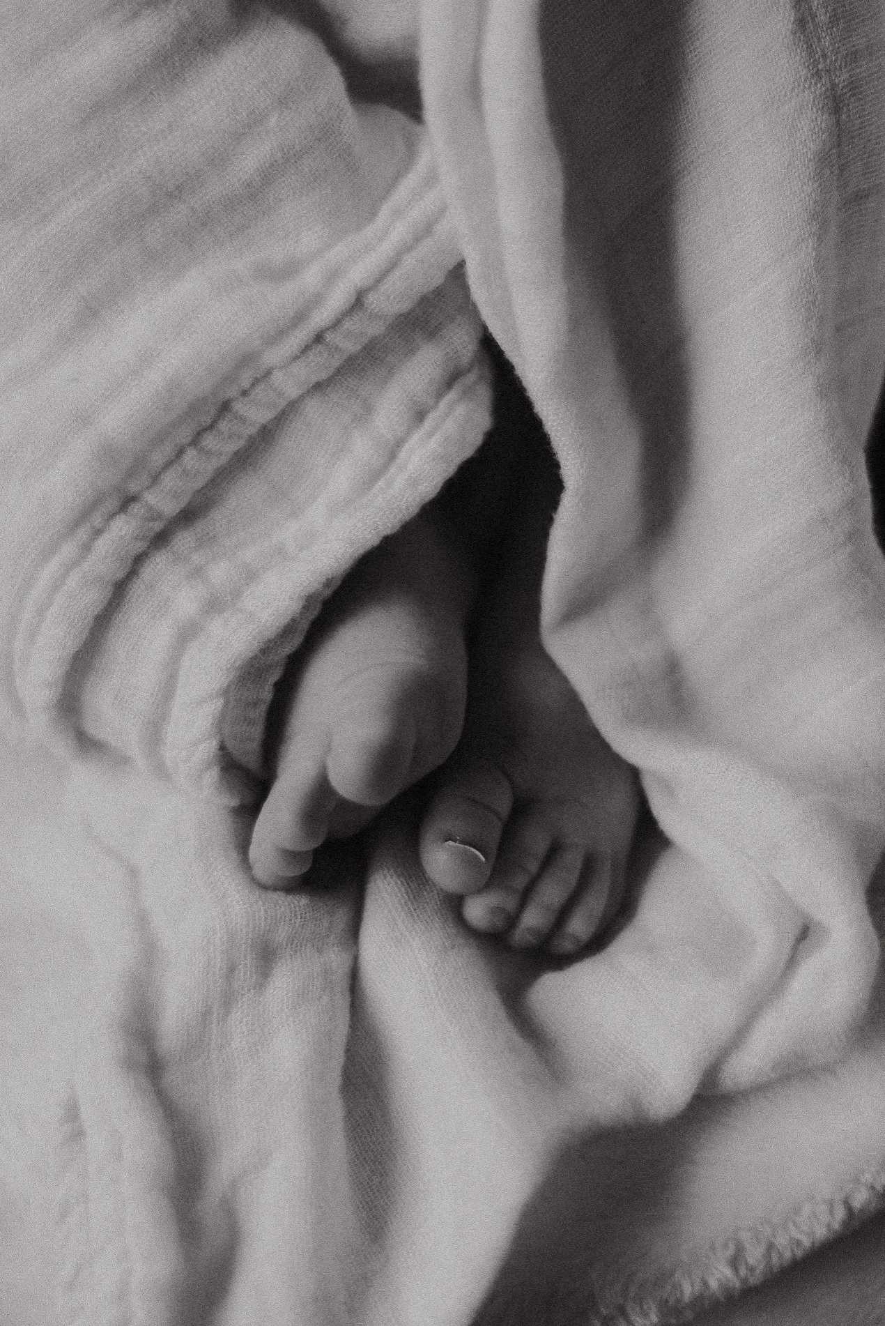 Alex Gale Photography Glacier National Park Photographer-218.jpg