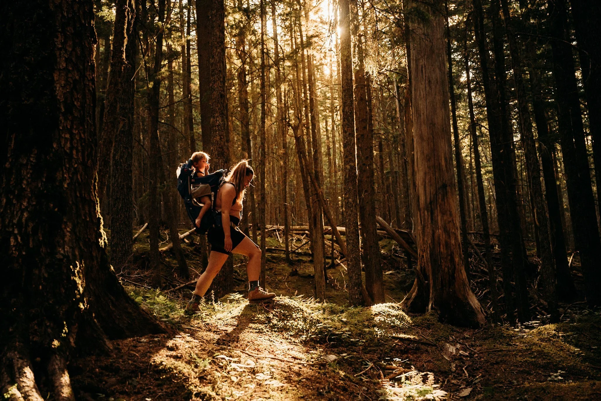 Alex Gale Photography