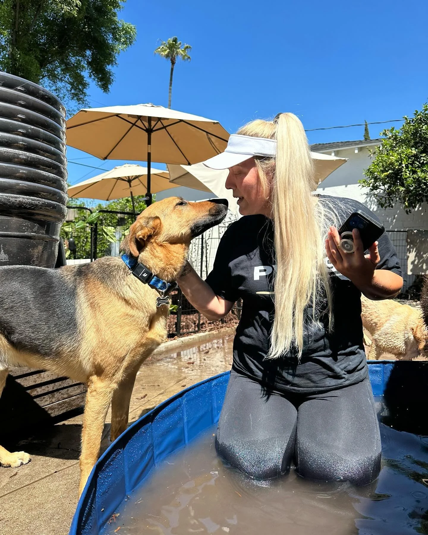 BENTLEY soaking up the sun during his board with us

.
.
.
#dogwalking #dogwalker #dogwalkersofla #dogwalkersofinstagram #dogboarding #structuredwalk #packwalking #packwalk #pawsitivevibes #doglover #balanceddogs #onleashwalks #morethanadogwalker #no