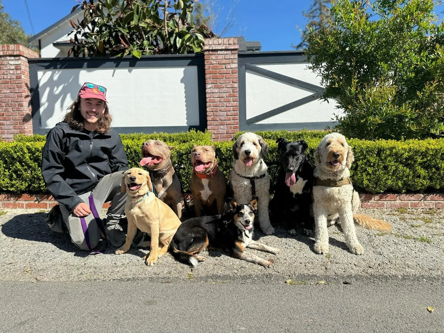 PVK9 would like to introduce our new team member CODY @odyaye to the family. The pack loves him already. Glad to have you aboard!

#pawsitivevibesk9 #pvk9 #pvk9gracie #pvk9pancakes #pvk9ace #pvk9nino #pvk9ray #pvk9scooby #pvk9lola #pvk9beatrice #pvk9