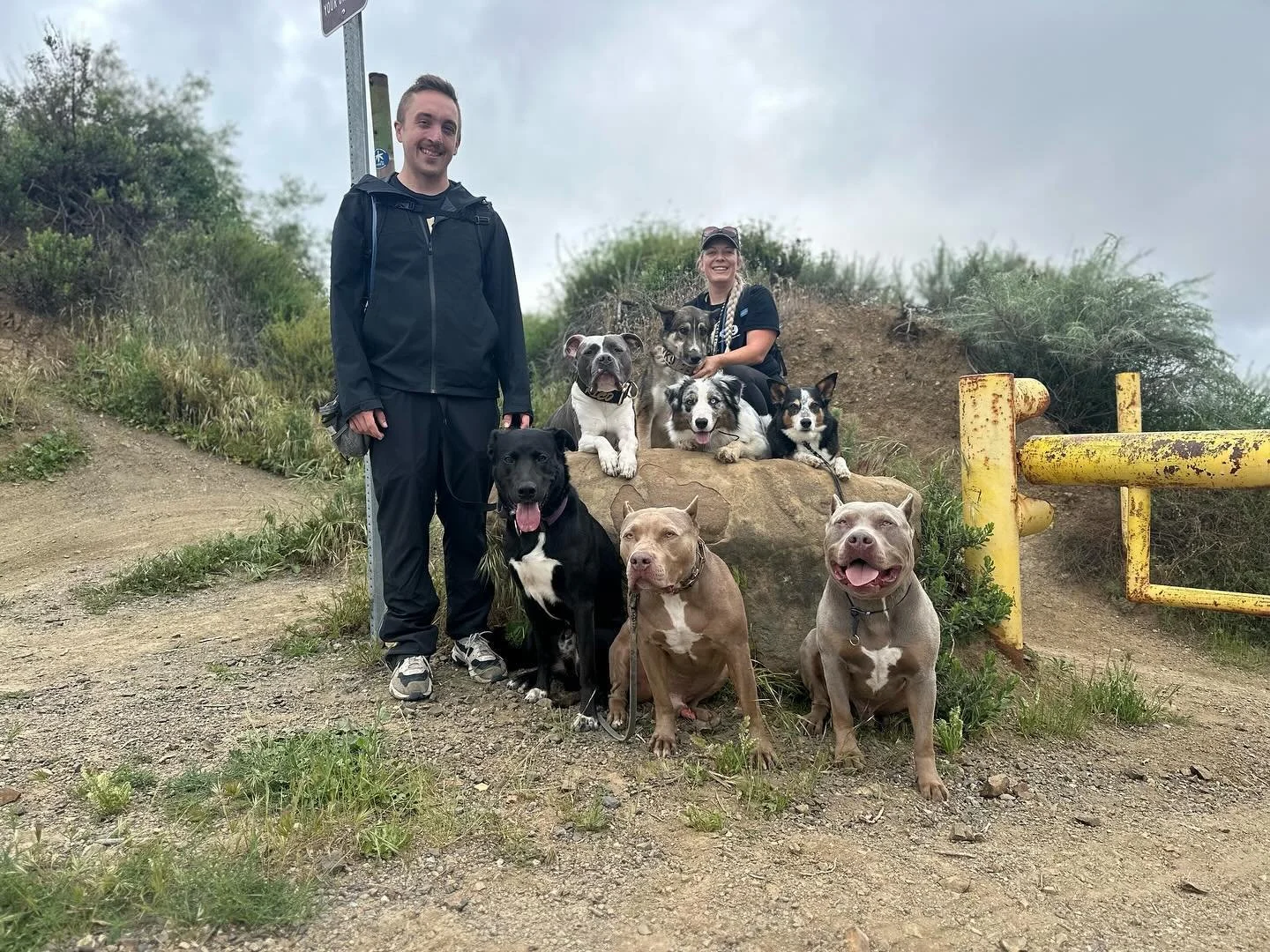 Not all dogs cooperate but they get an A for trying 🤣

#doghike #dogsofinstagram #dog #doghiking #dogs #doglife #hikingwithdogs #dogwalk #dogphotography #hiking #doghikers #dogstagram #hikingdogsofinstagram #dogadventures #hike #doglovers #dogofthed
