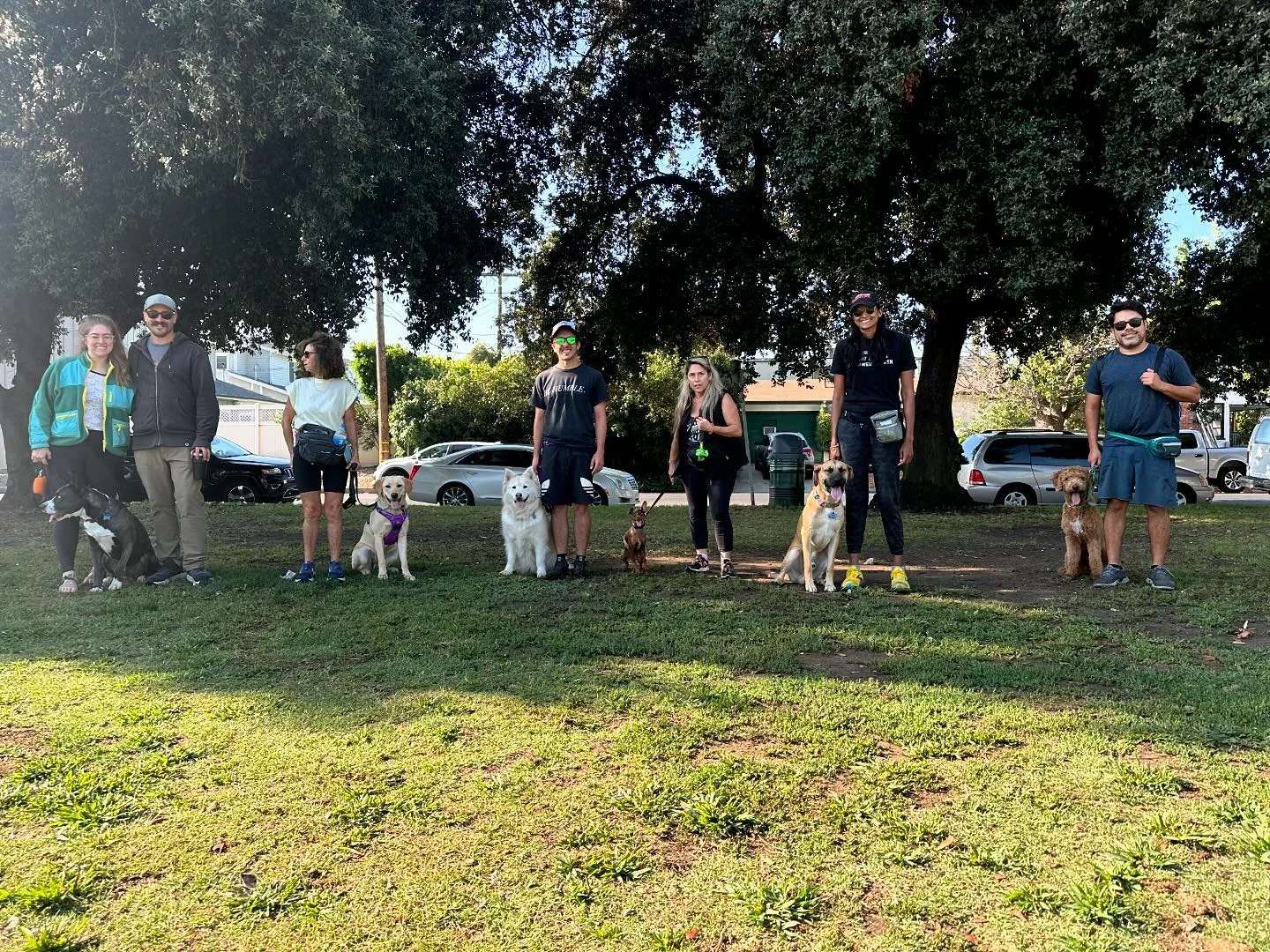 That&rsquo;s a wrap on our first pack training walk! 

Thank you to everyone who attended, we&rsquo;re looking forward to our next one on September 14th!!!

#pvk9training #packwalk #dogtraining #dogtrainer #basicobedience