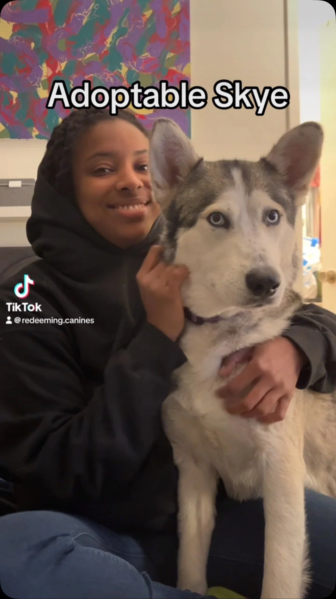 Sweet girl Skye 😍
#redeemingcanines #adoptable #husky #socal