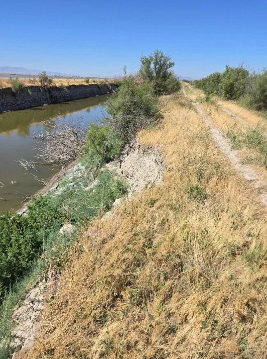 Steeply eroded bank.jpg