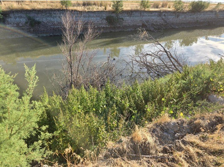 Top Bank Erosion.jpg