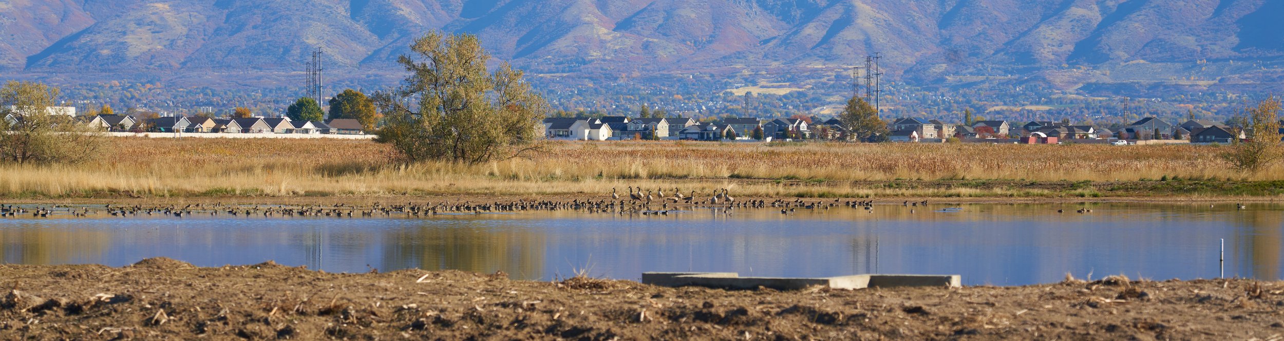 LaytonMarsh 14.jpg