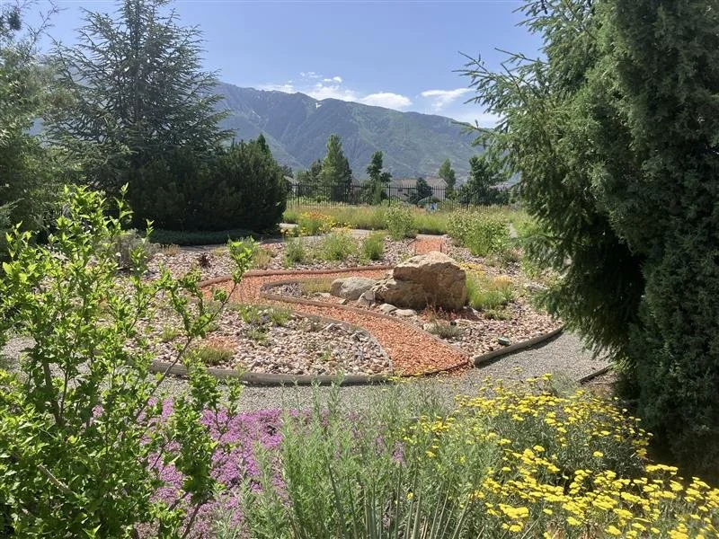 Sego Lily Conservation Garden