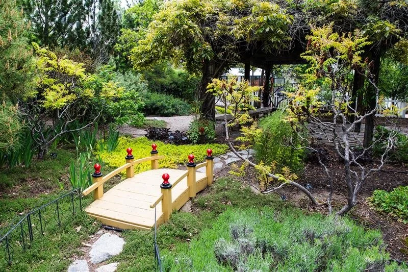 Sego Lily Conservation Garden