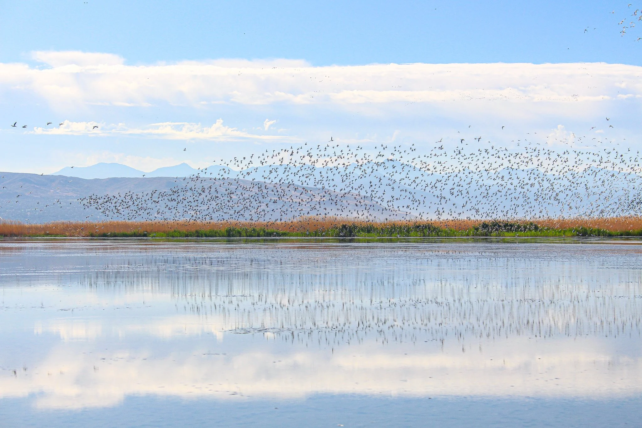 PRESS RELEASE: 2026 Wetland Funding Awards Increase Acreage of Protected and Restored Wetlands at Great Salt Lake