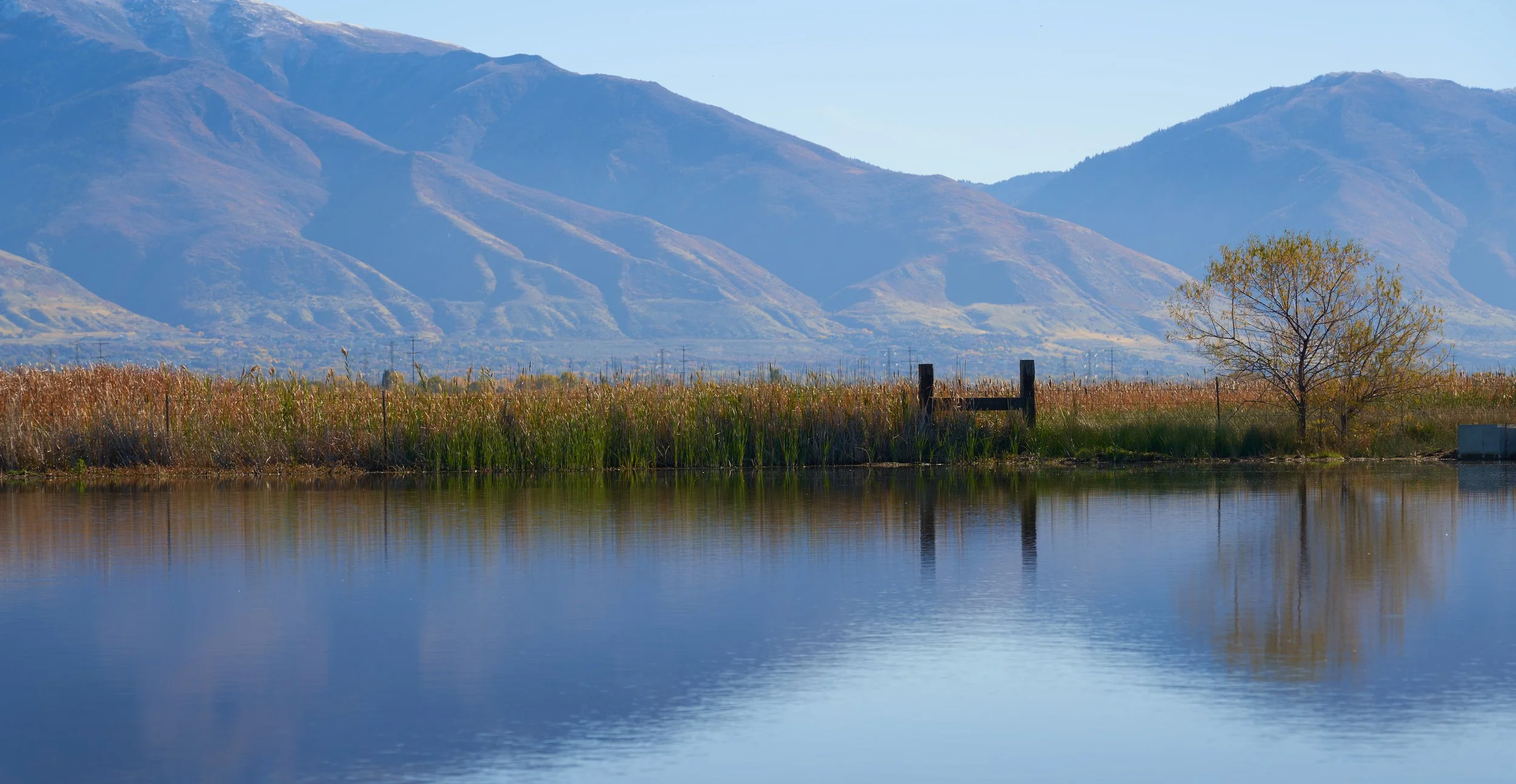 LaytonMarsh 3.jpg