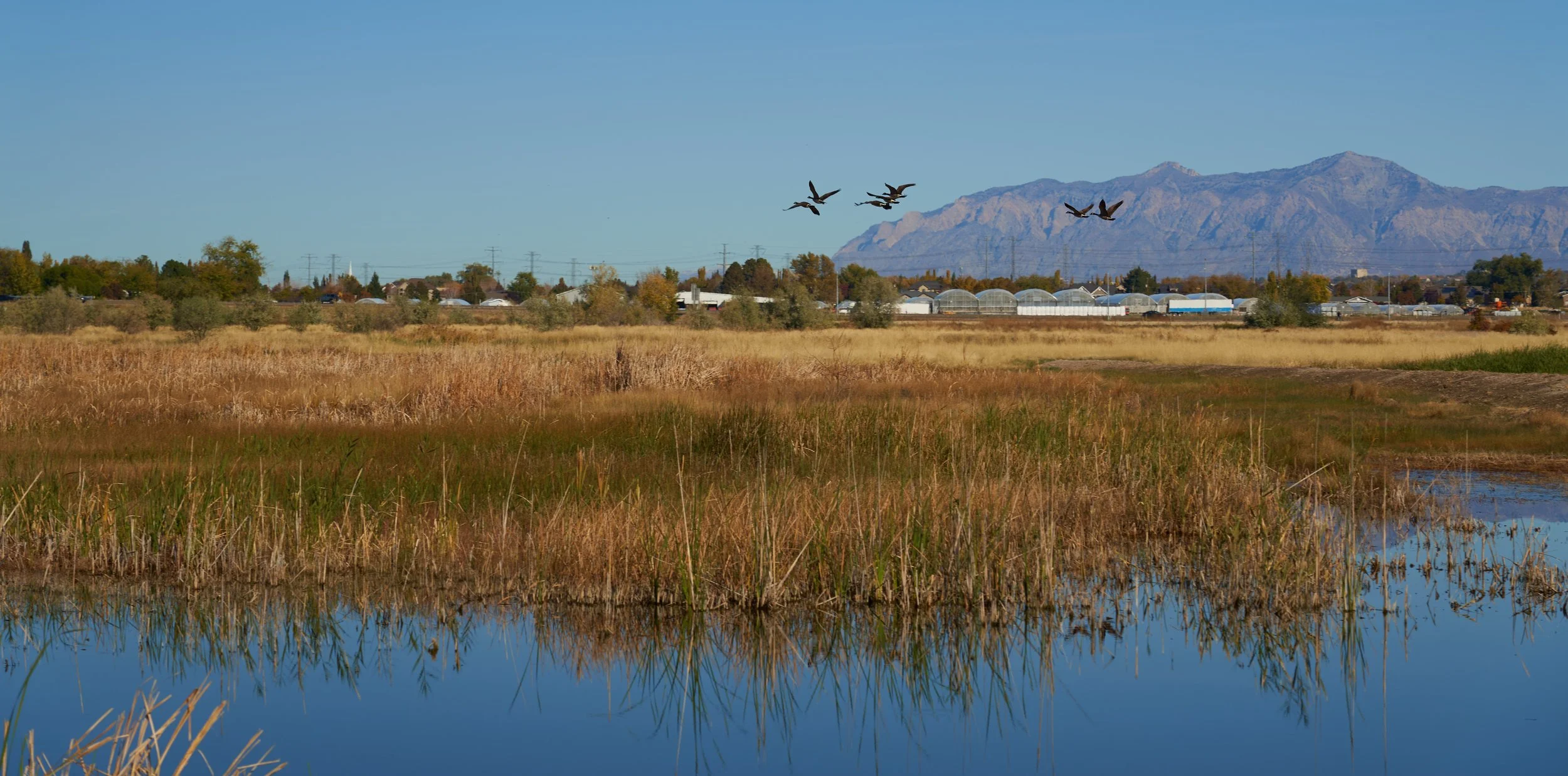 LaytonMarsh 13.jpg