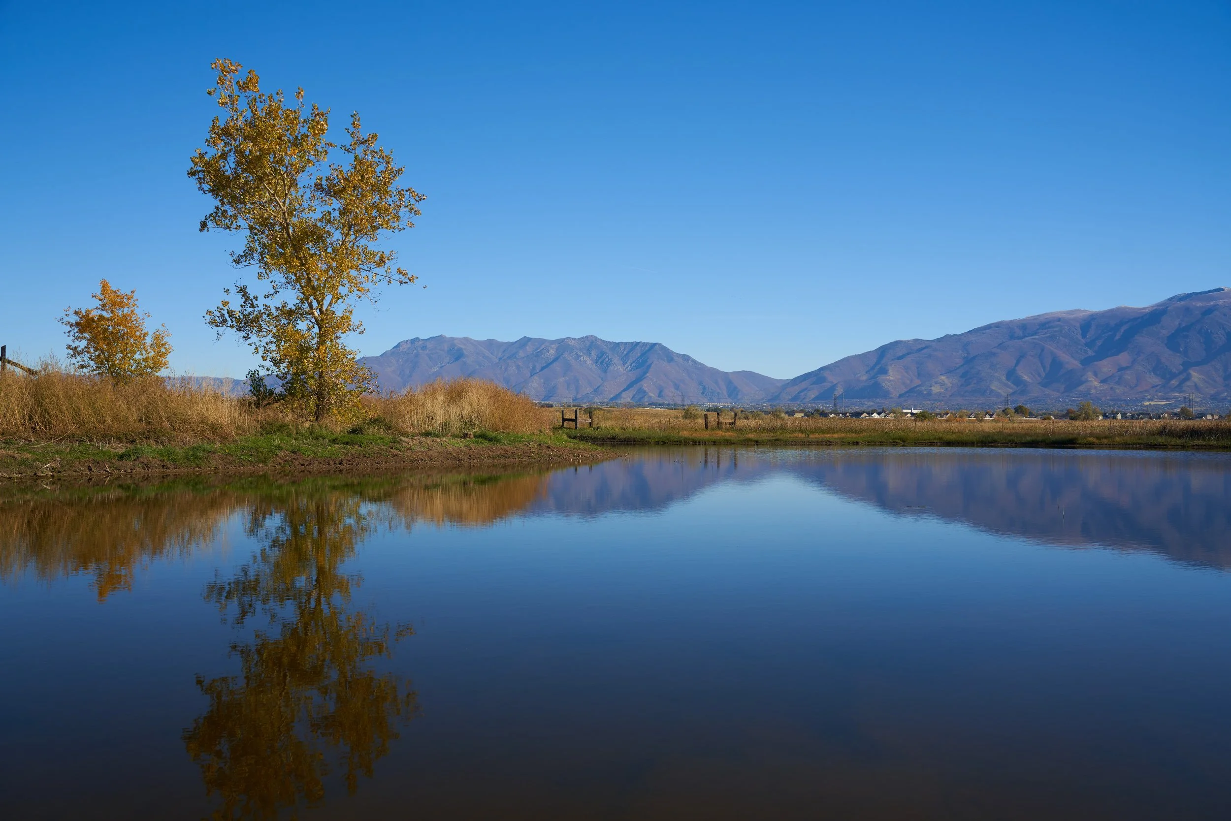 LaytonMarsh 4.jpg