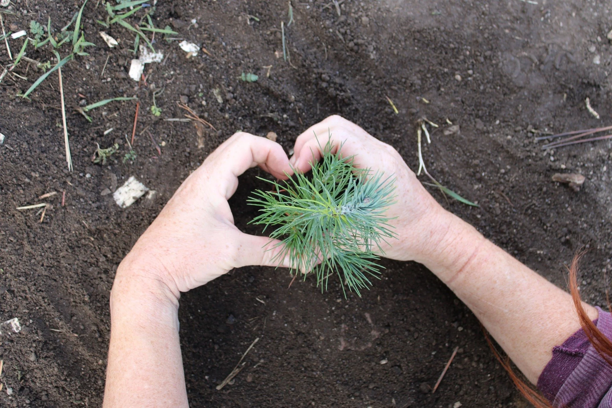 Eagle Valley heart with hands.jpg