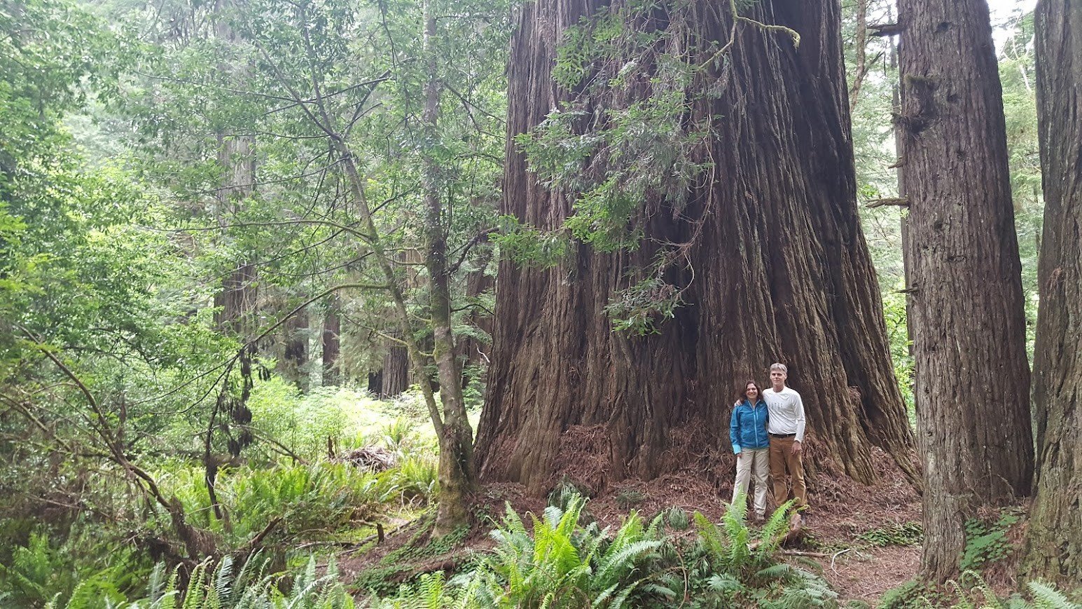 Finding the Giants: My Journey with Michael Taylor