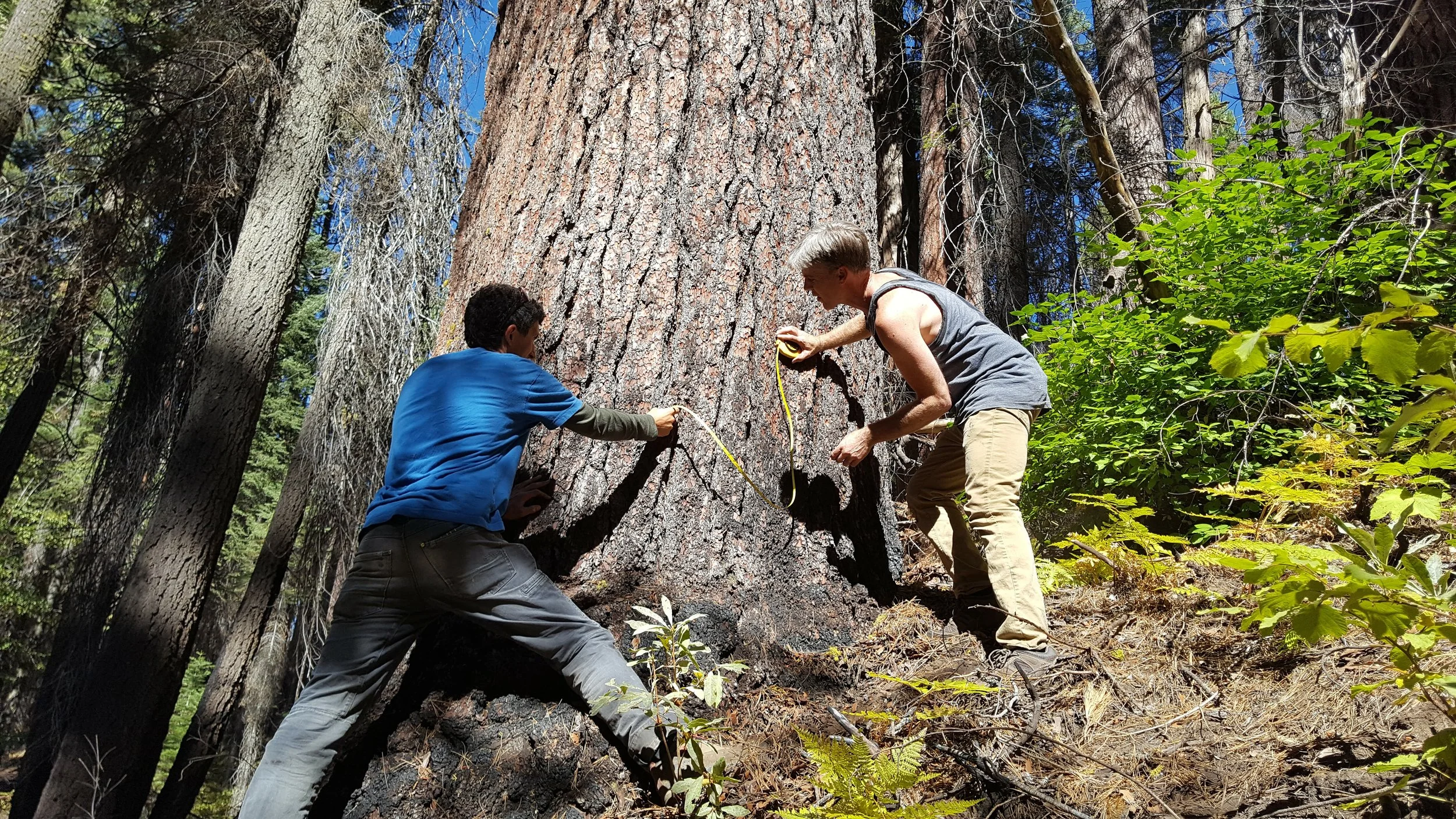 Mapping the Giants: Michael Taylor’s 2026 Field Update