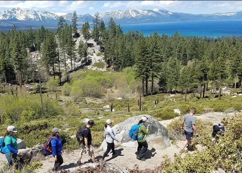 Give Tahoe Sustainable Solutions: SPF staff thoughts on glyphosate spraying