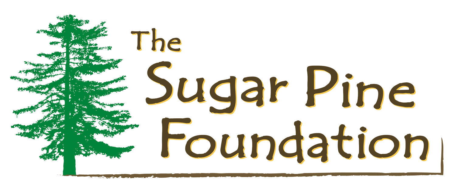 Sugar Pine Foundation