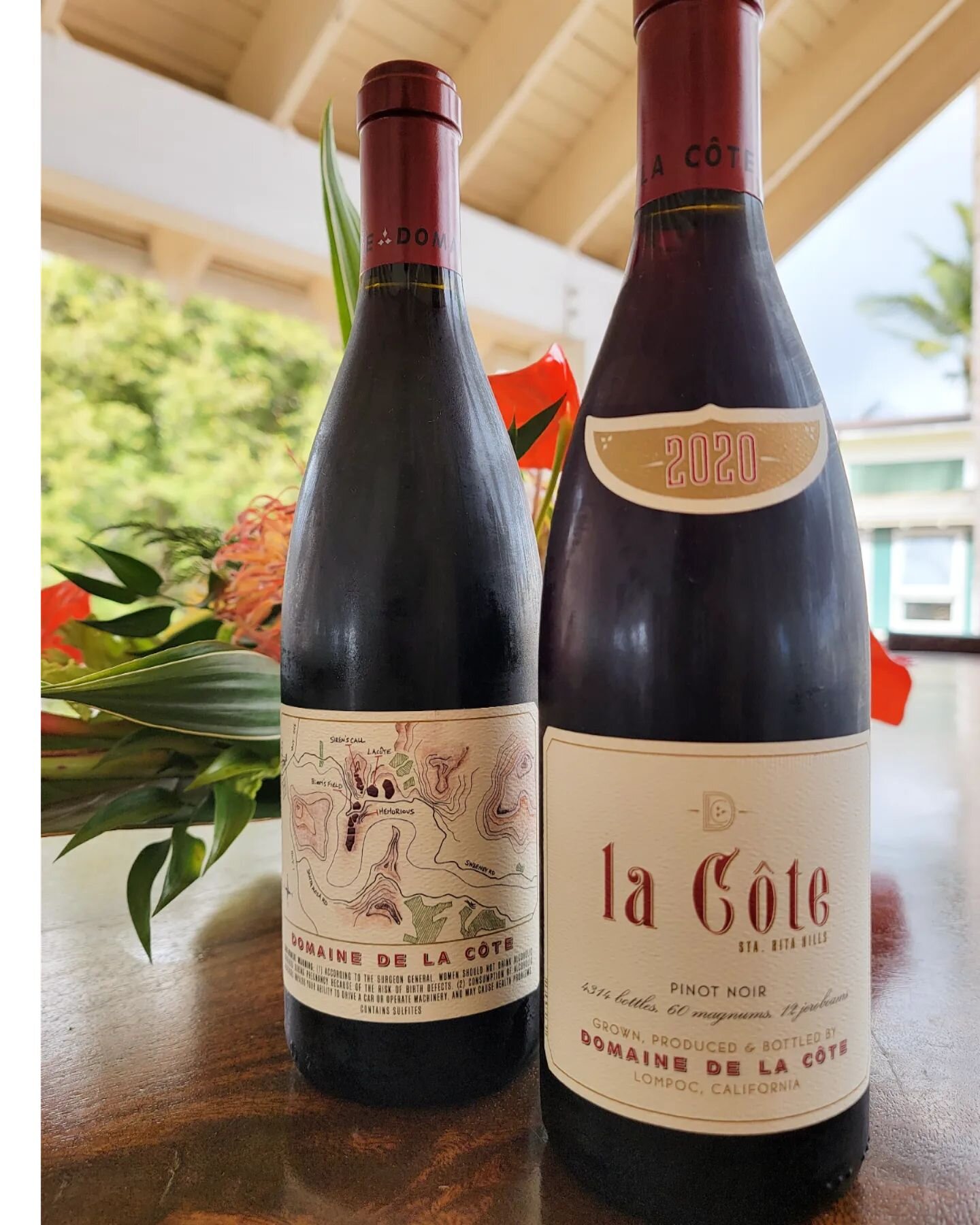 Domaine de La C&ocirc;te Pinot Noir 

La C&ocirc;te blankets a steep
southeast-facing hillside on the
leeward slope of our Domaine
Unimpeded by the inexorable winds that confront Bloom's Field and Memorious to the west, La C&ocirc;te enjoys more opti