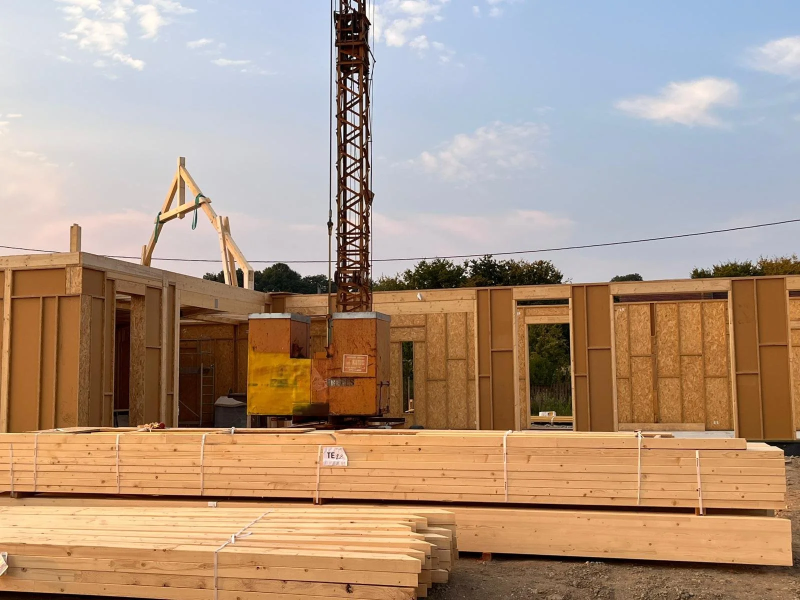 WhatsApp Image 2026-01-06 at 09.46.59.jpeg