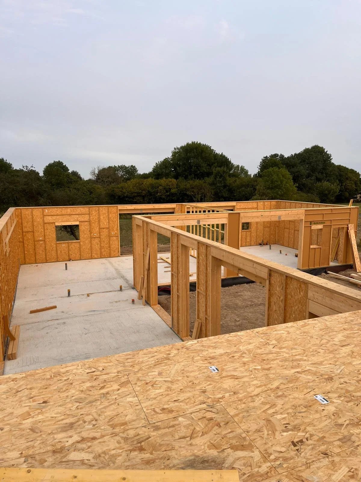 WhatsApp Image 2026-01-06 at 09.46.59 (1).jpeg