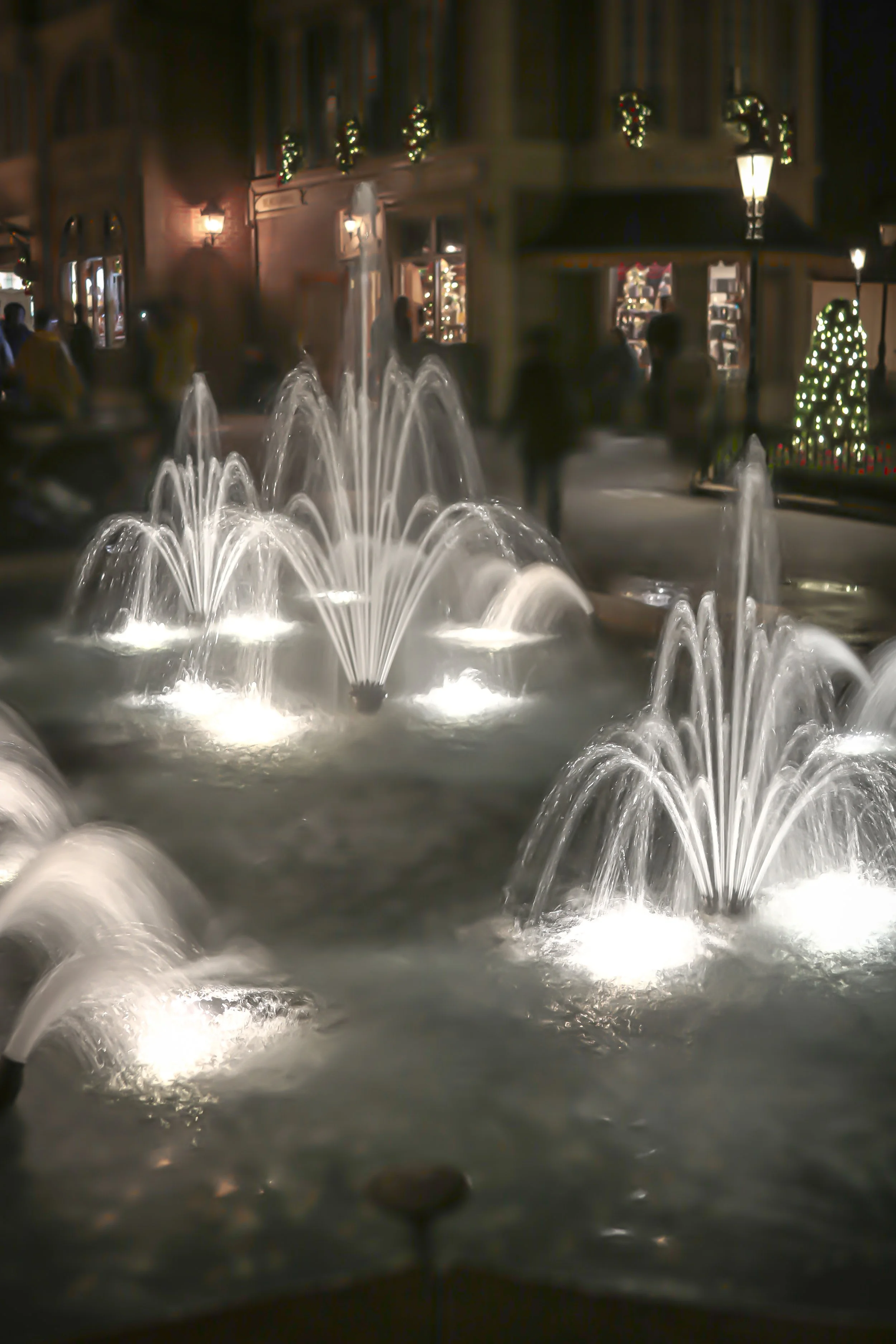 IMG_6263.jpg