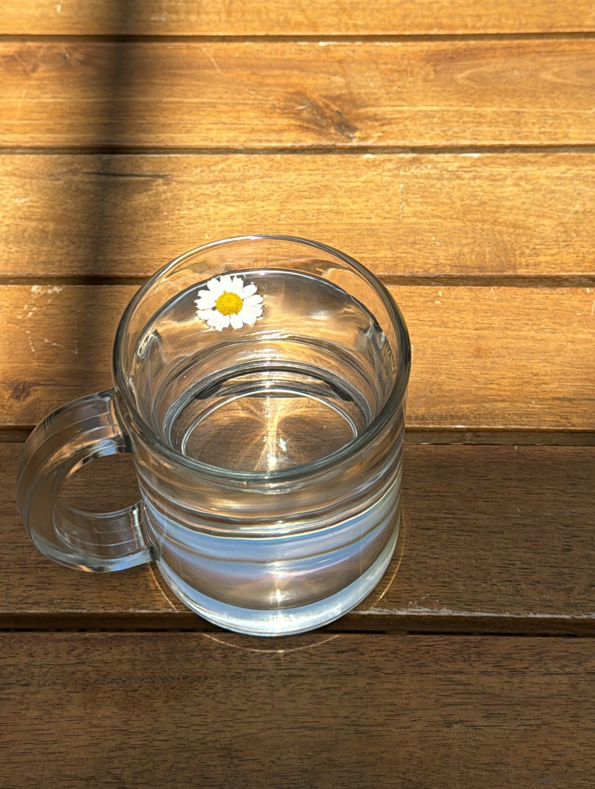 6B99DA48-69CE-4CF4-B29E-1F687B8828A5.jpeg