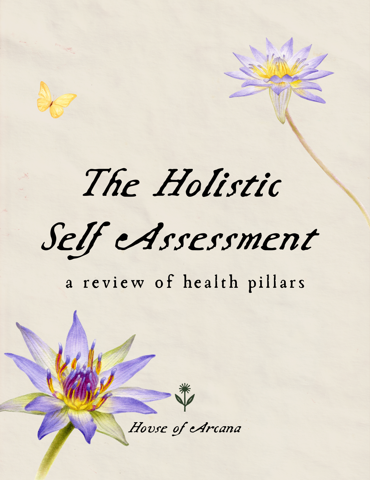 Book cover titled "The Holistic Self Assessment: a review of health pillars" with pastel-colored flowers and a small green plant illustration.