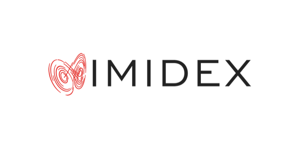 Blog-Category-Logo-Imidex.png