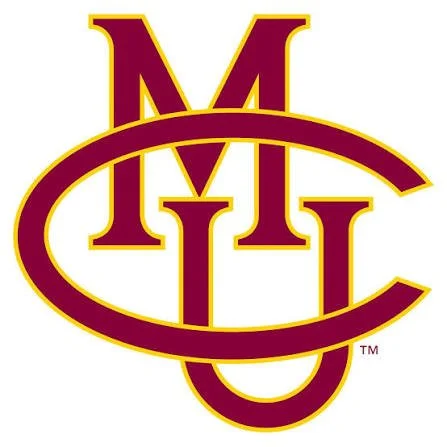 CMU Interlock.jpg