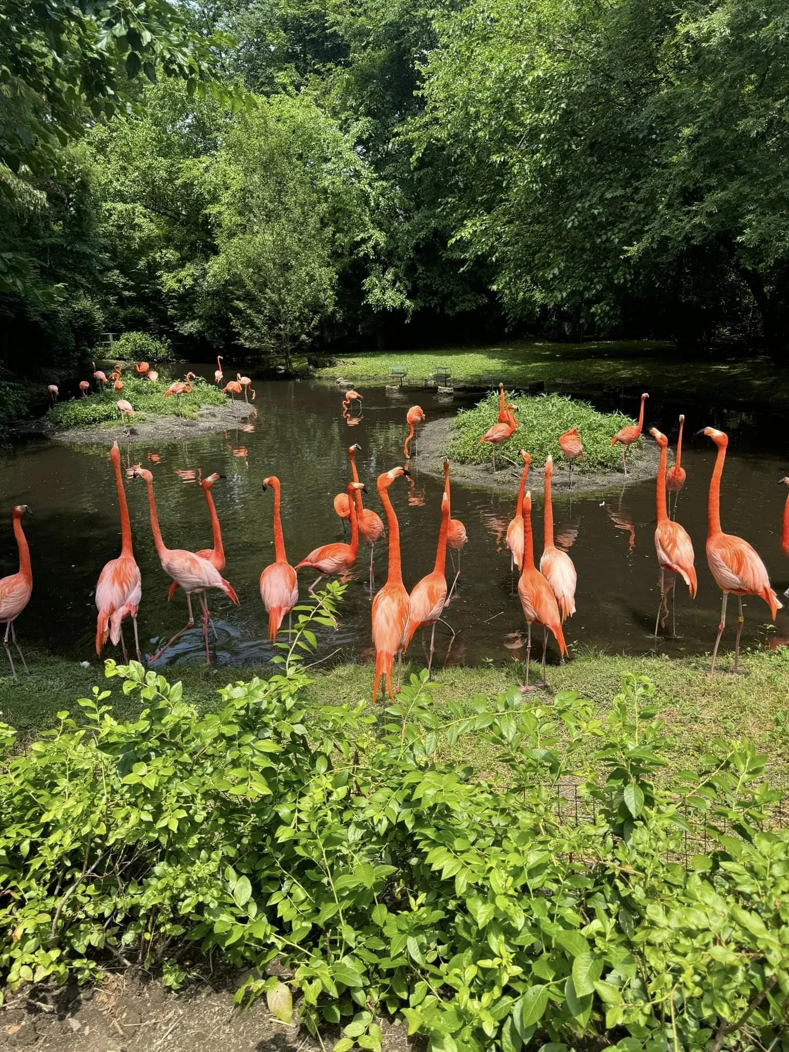 Bronx Zoo