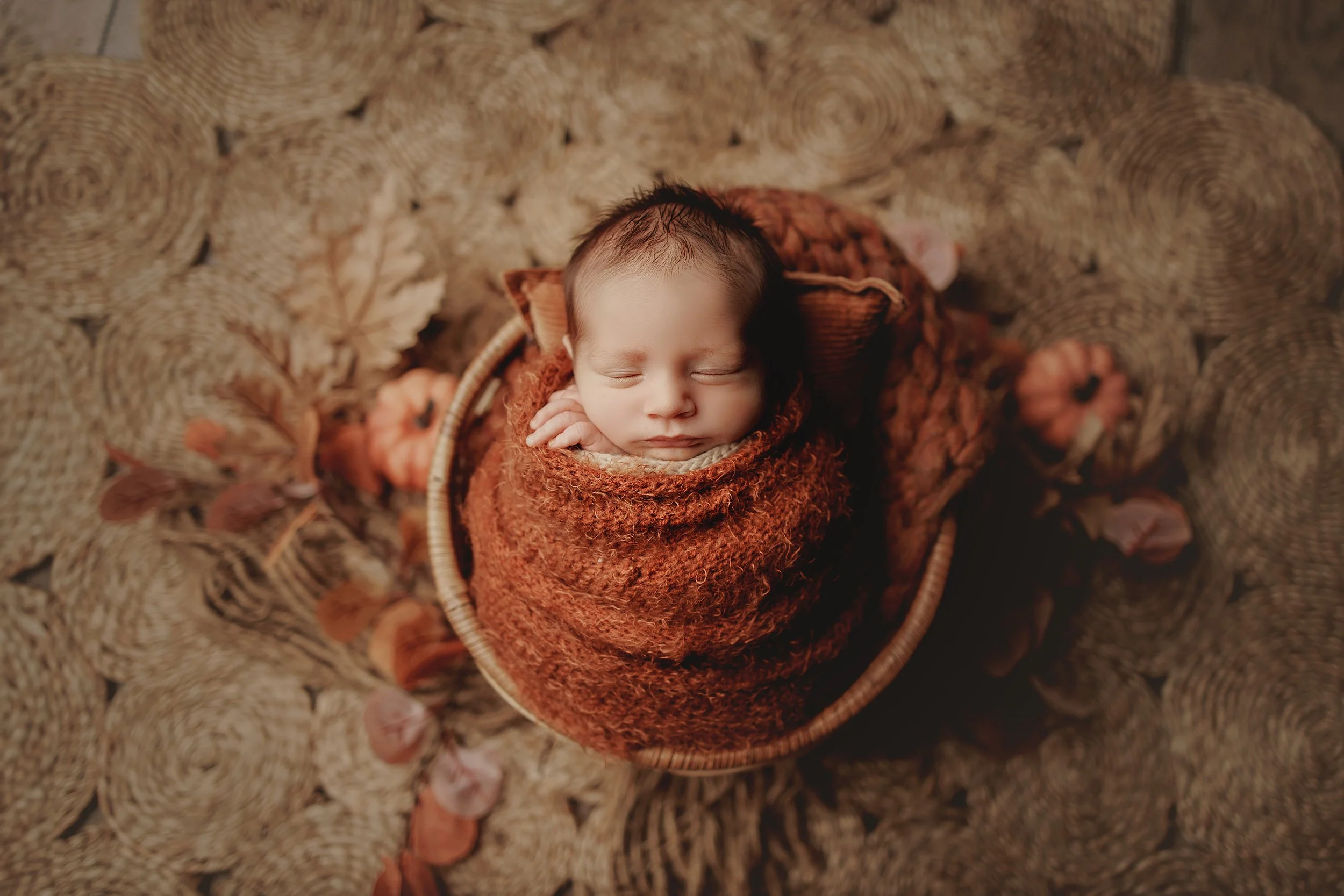 Grand Rapids Newborn Photographer