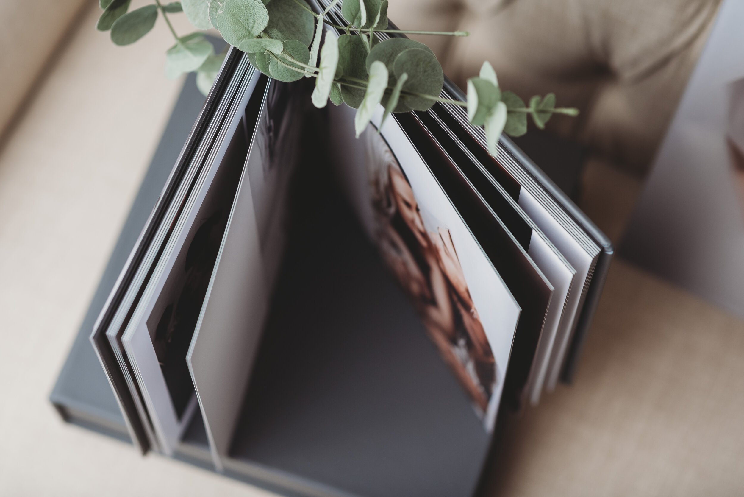 Newborn Photography Grand Rapids