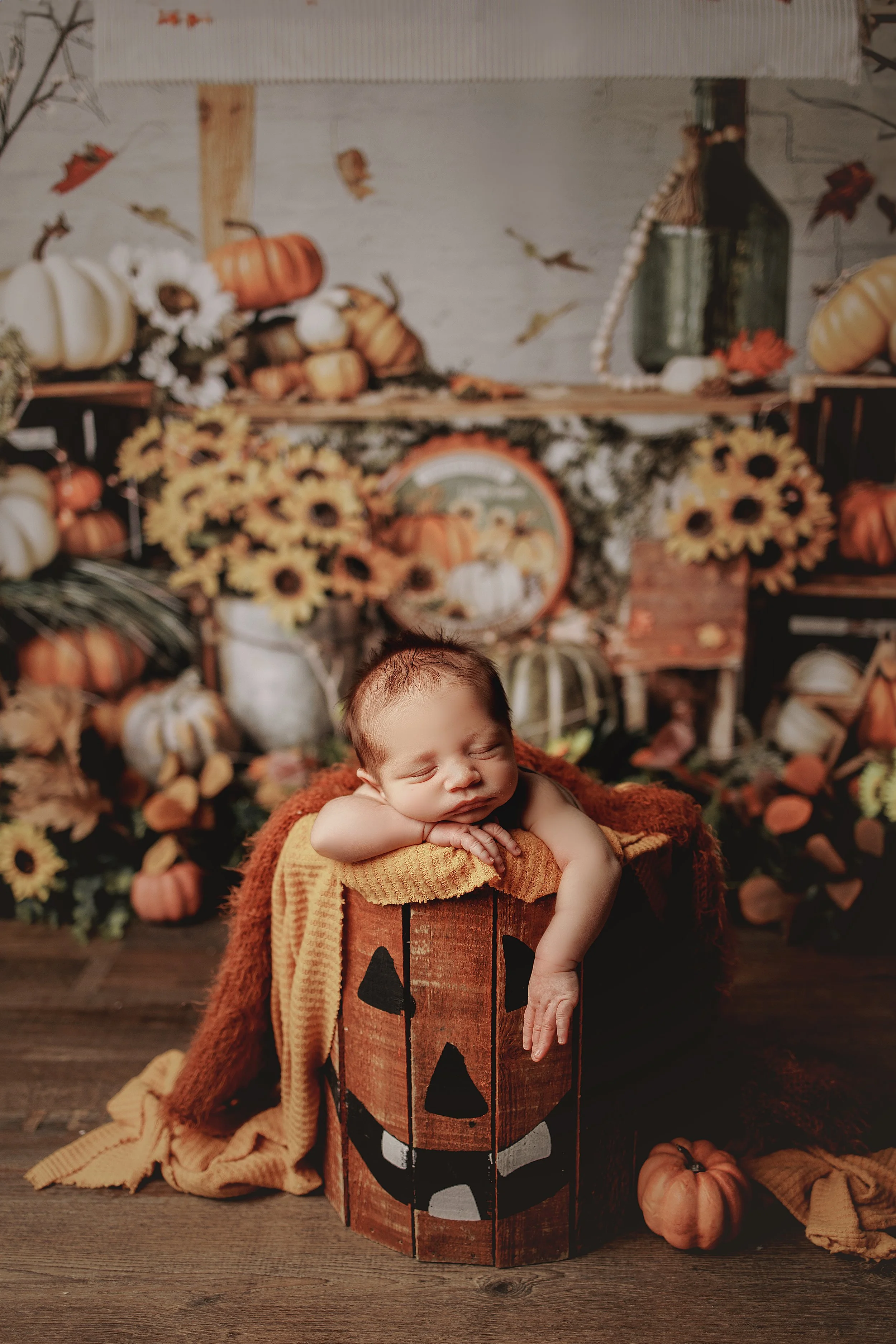 Grand Rapids Newborn Photographer