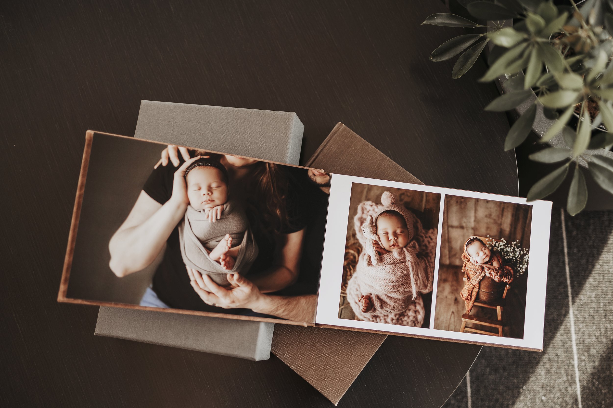 Family Photography Grand Rapids