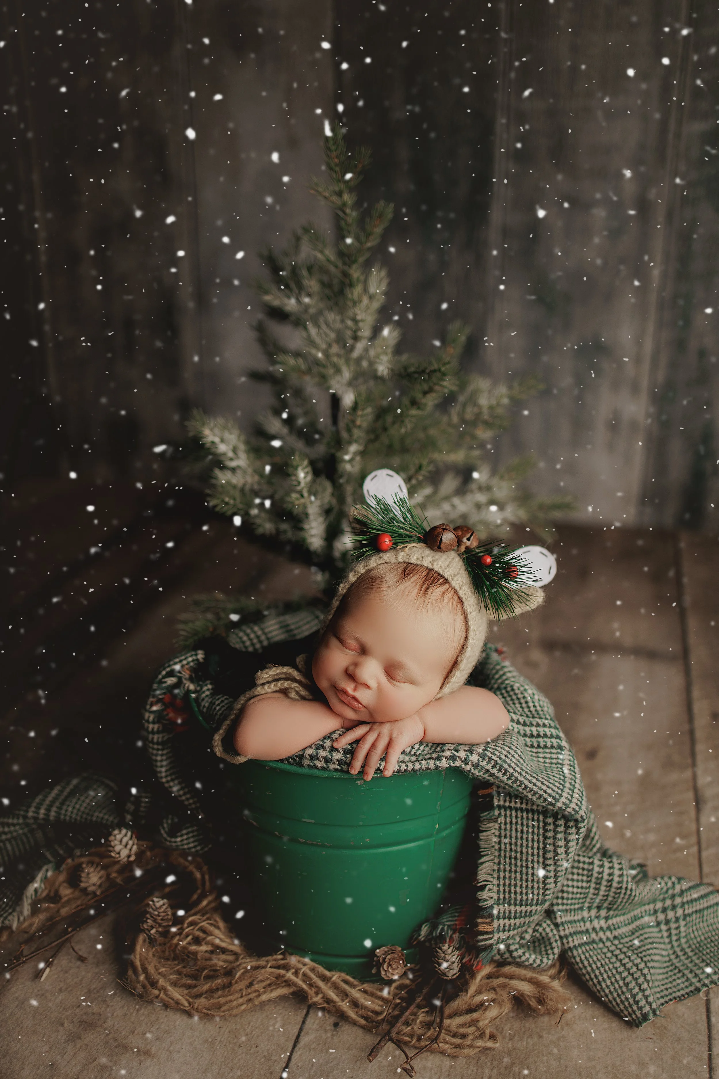 Grand Rapids Newborn Photographer
