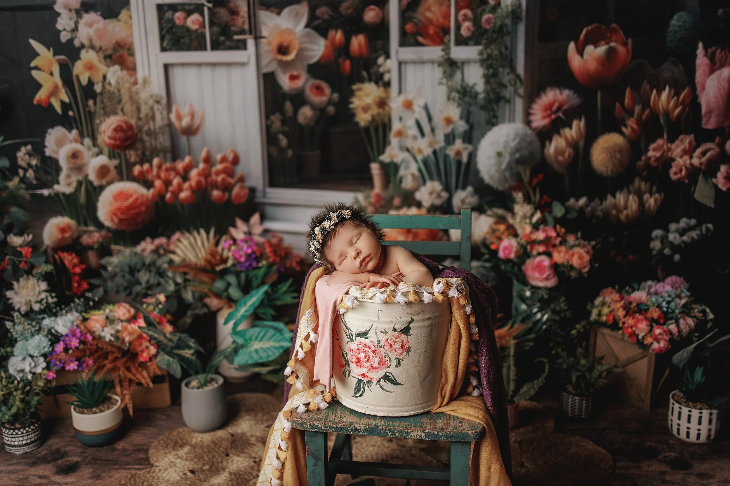 Grand Rapids Newborn Photographer
