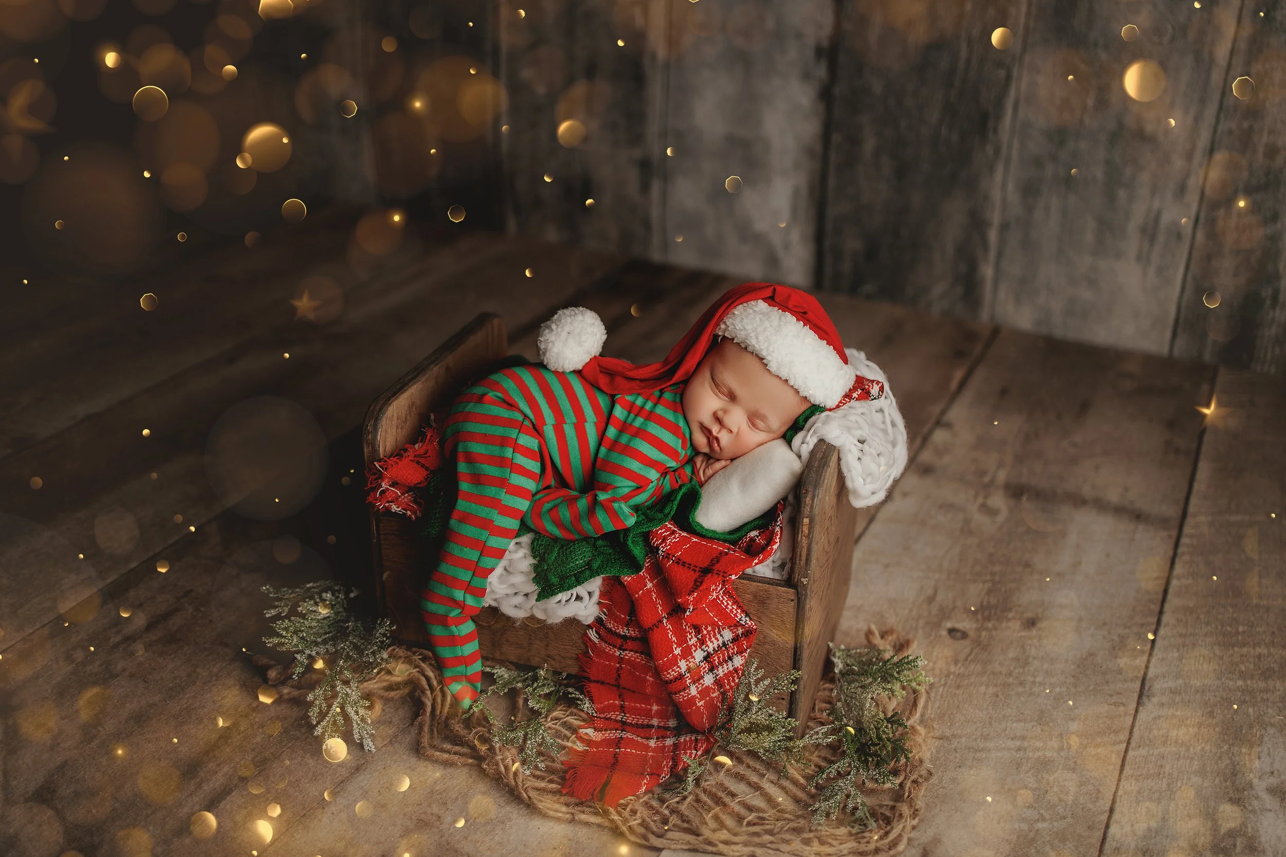 Grand Rapids Newborn Photographer