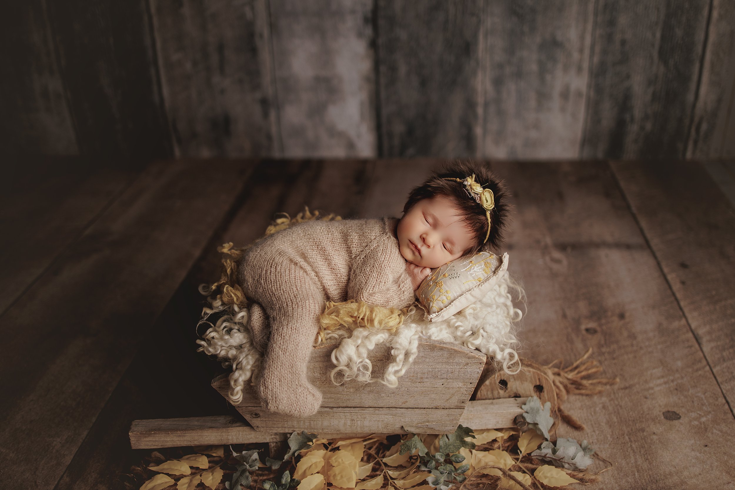 Grand Rapids Newborn Photographer