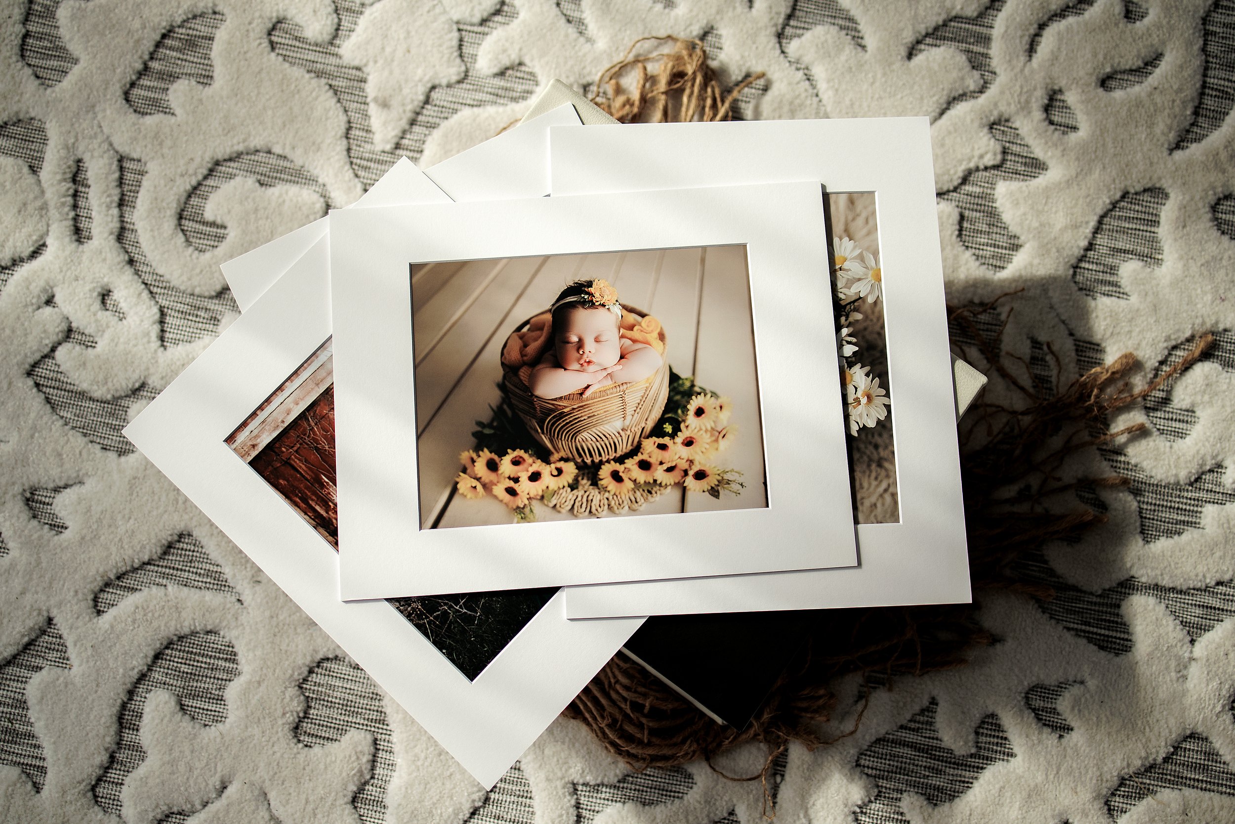 Family Photography Grand Rapids
