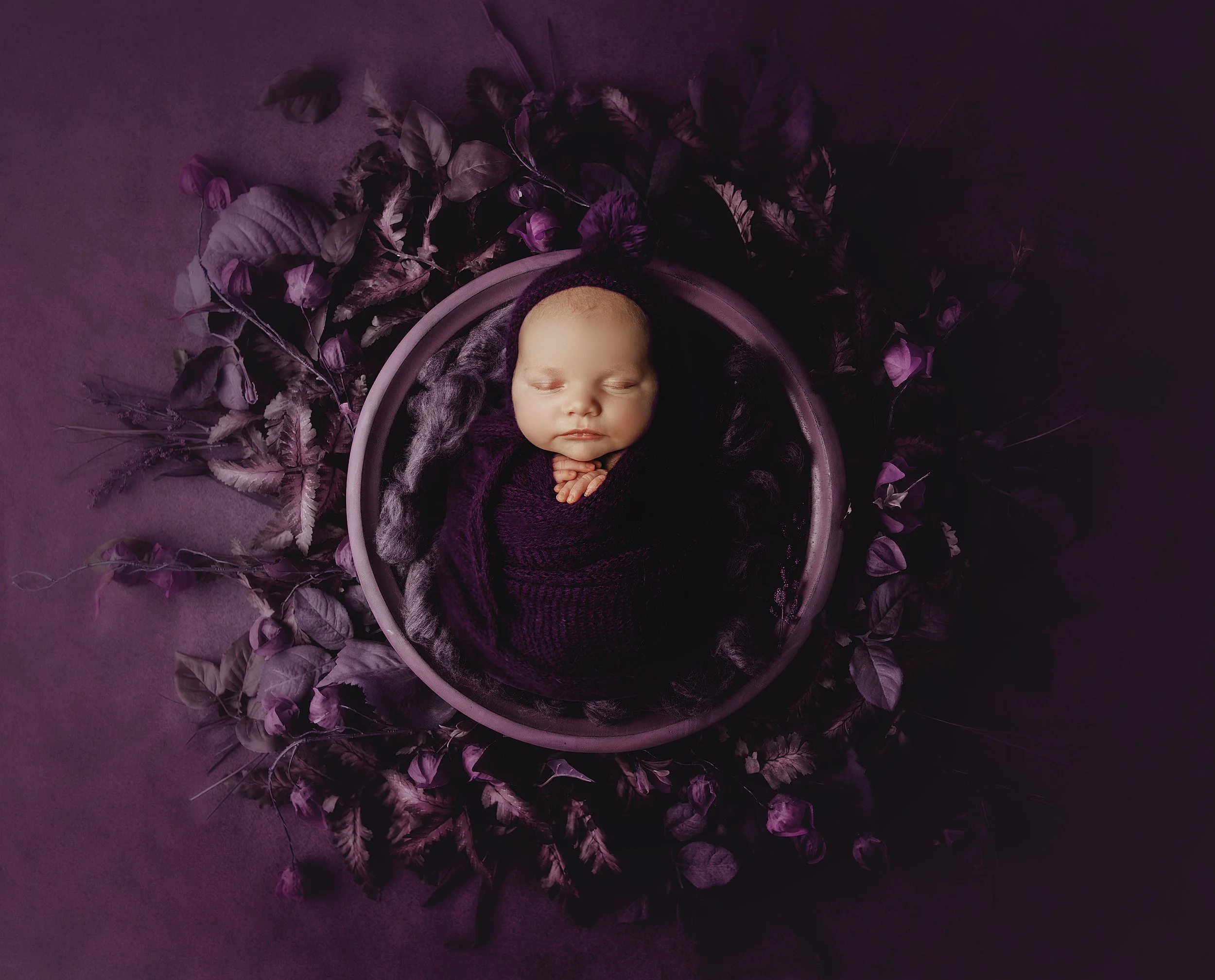 Grand Rapids Newborn Photographer