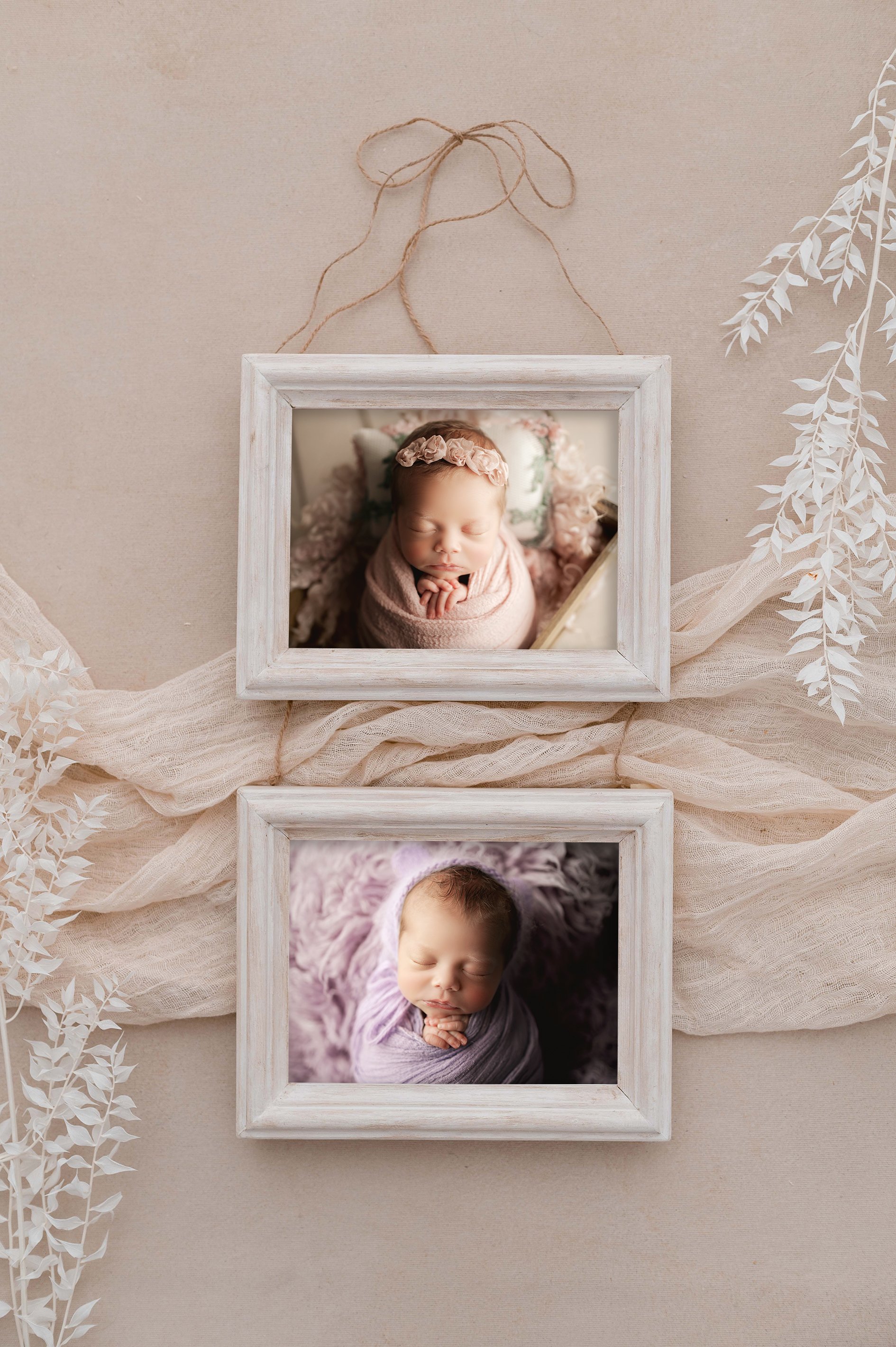 Senior Photography Grand Rapids