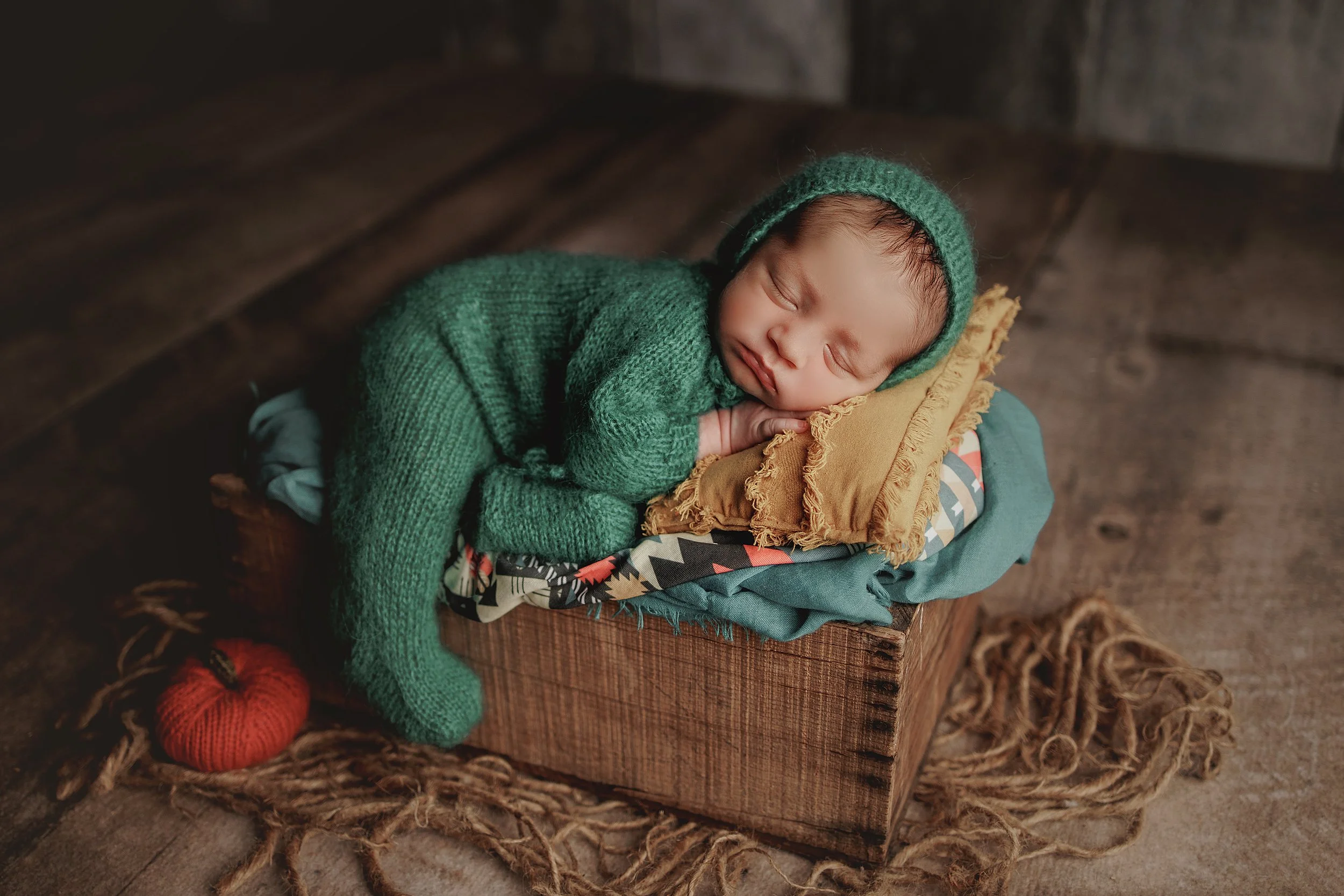 Grand Rapids Newborn Photographer