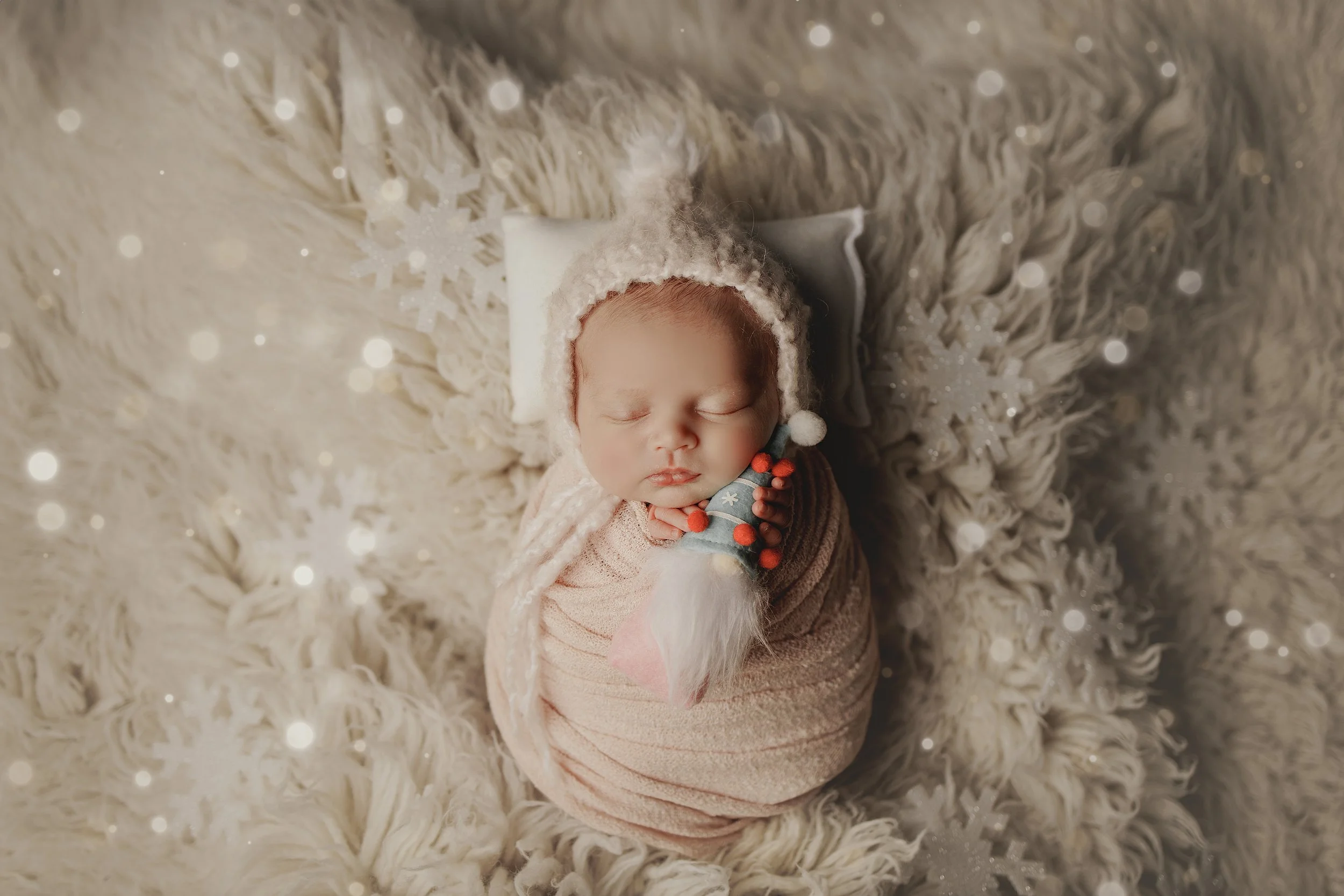 Grand Rapids Newborn Photographer