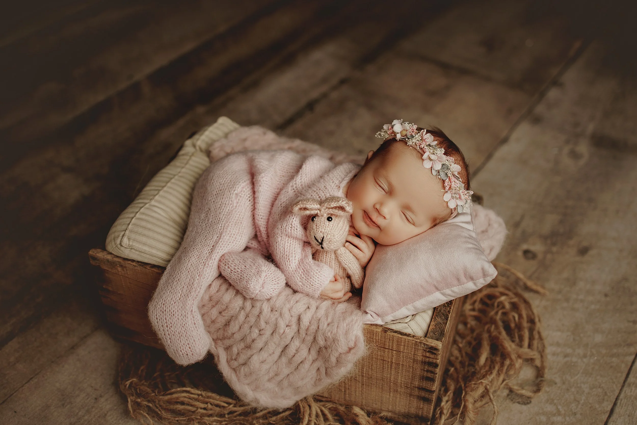 Grand Rapids Newborn Photographer